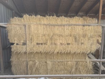 Grass Hay - 7 Bales, 3x4x8 ft - Sun-Bleached, Last Season's - Ogden Area