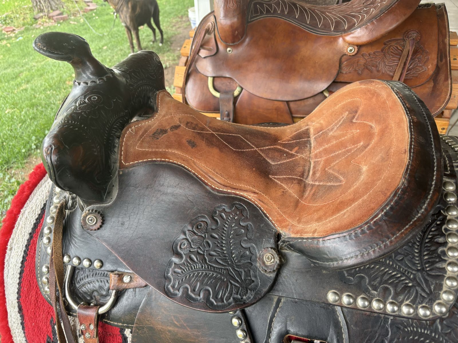 Saddles and tack