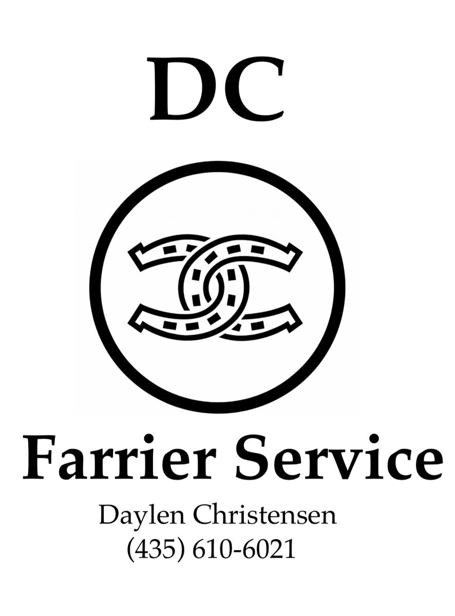 Farrier/ Horseshoeing