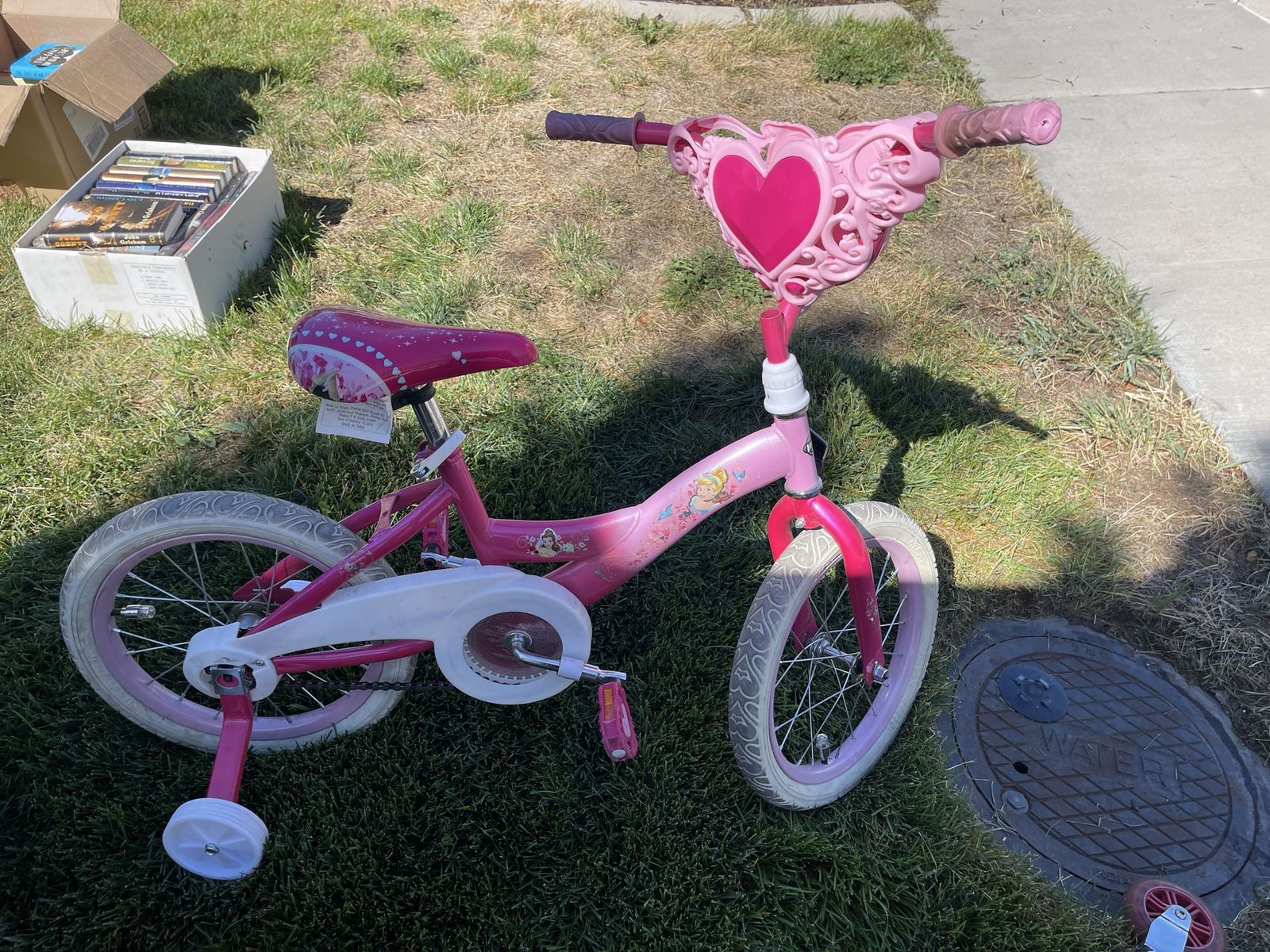 Pink Princess Kids Bicycle with Training Wheels