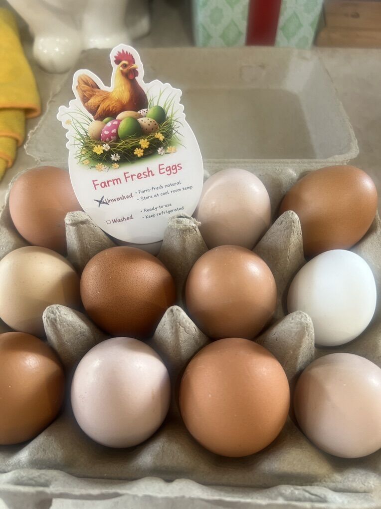 Farm Fresh Chicken Eggs