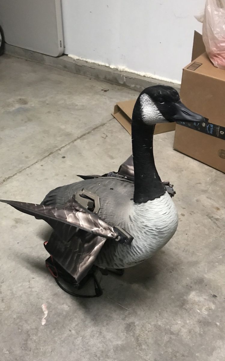 JTR motion decoy flapper