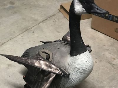 JTR motion decoy flapper