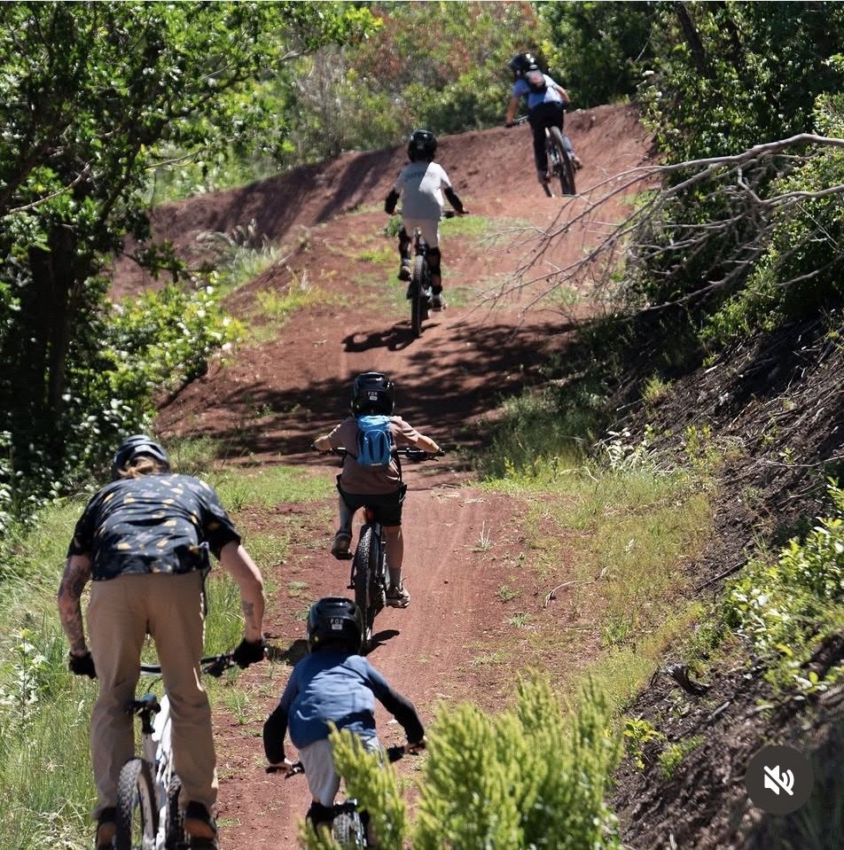 WANTED: Used Downhill MTB (Last 10 Years / 27.5 Wheels) – Budget-Friendly for Youth DH Coach