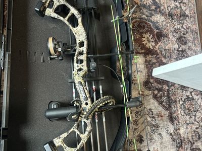 Bear Cruzer G4 Bow
