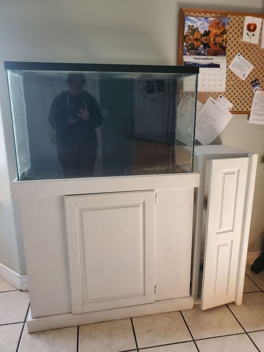 45 Gallon fish tank and stand and extras