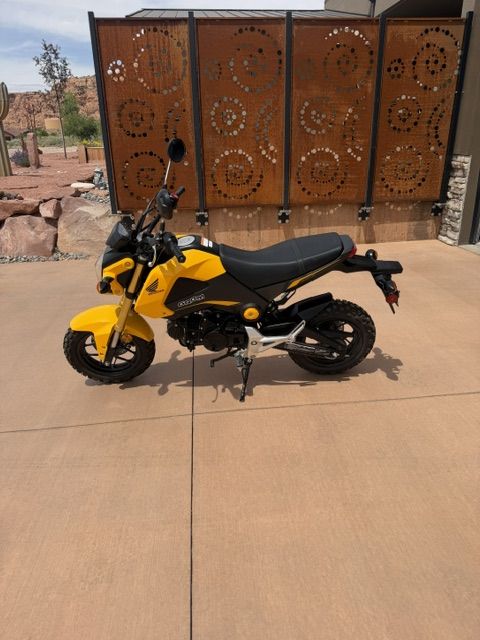 2015 Honda Grom