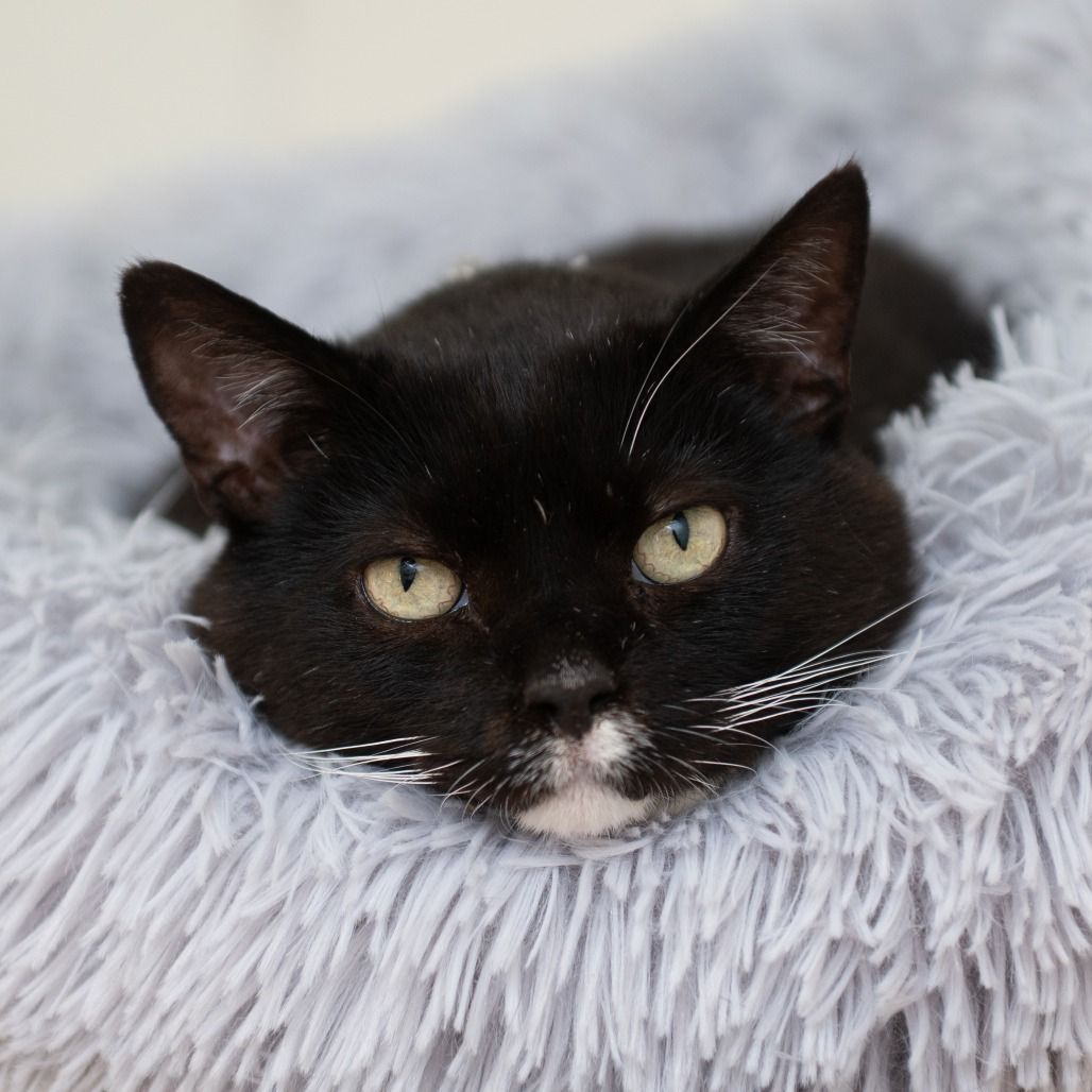 Hello my name is Hugo