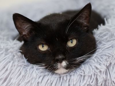 Hello my name is Hugo