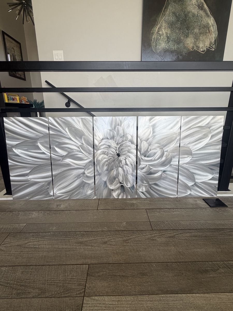 Beautiful Silver Metal Brushed Wall Art