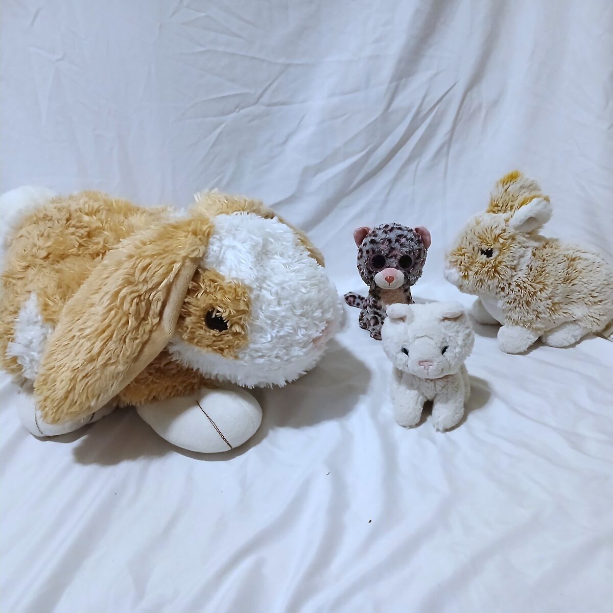 Bunny and Kitty Stuffed Animals