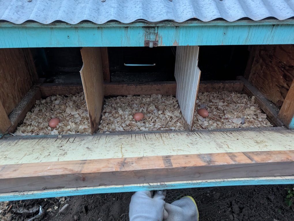 Main image 2