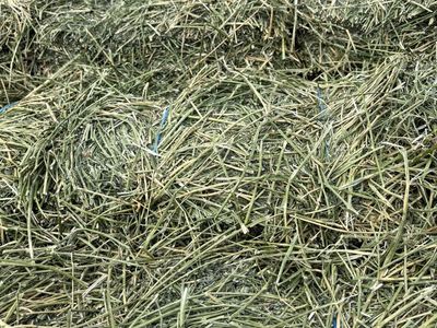 Alfalfa Hay