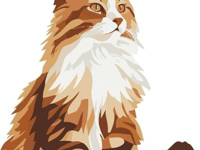 ISO - Maine Coon Stud (TICA or CFA)