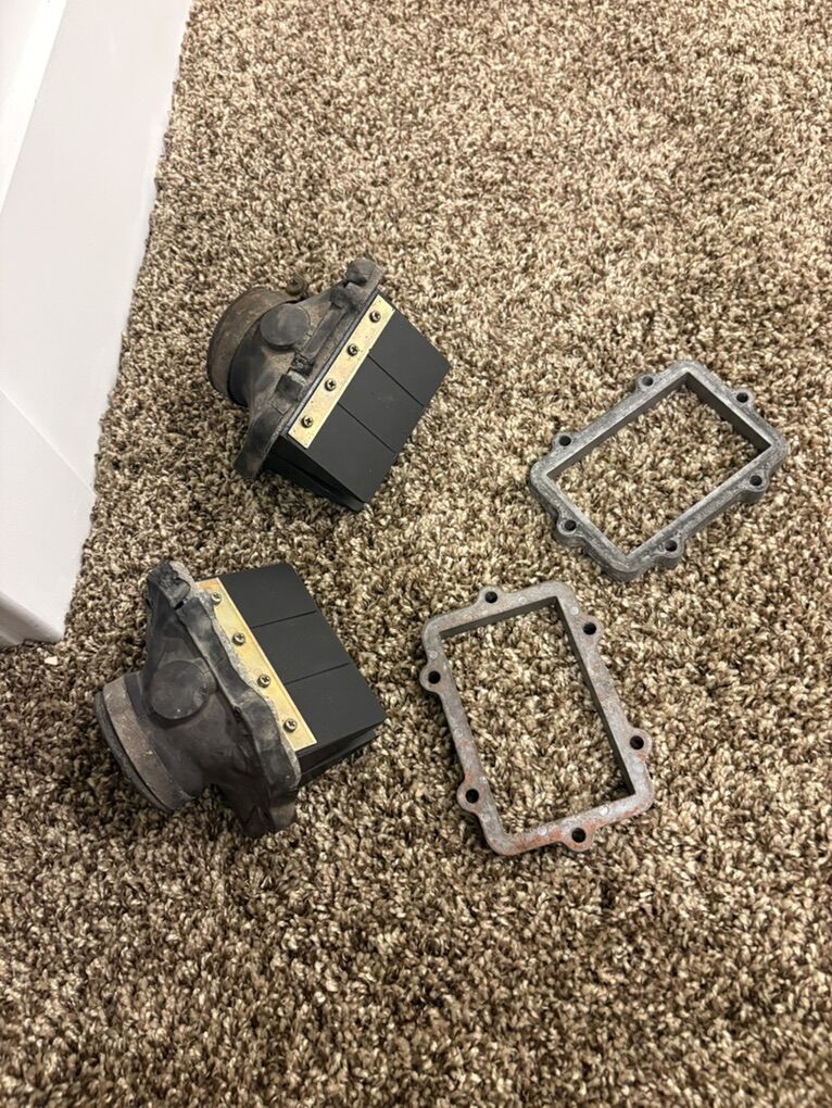 03-06 Skidoo Summit 800 Reeds