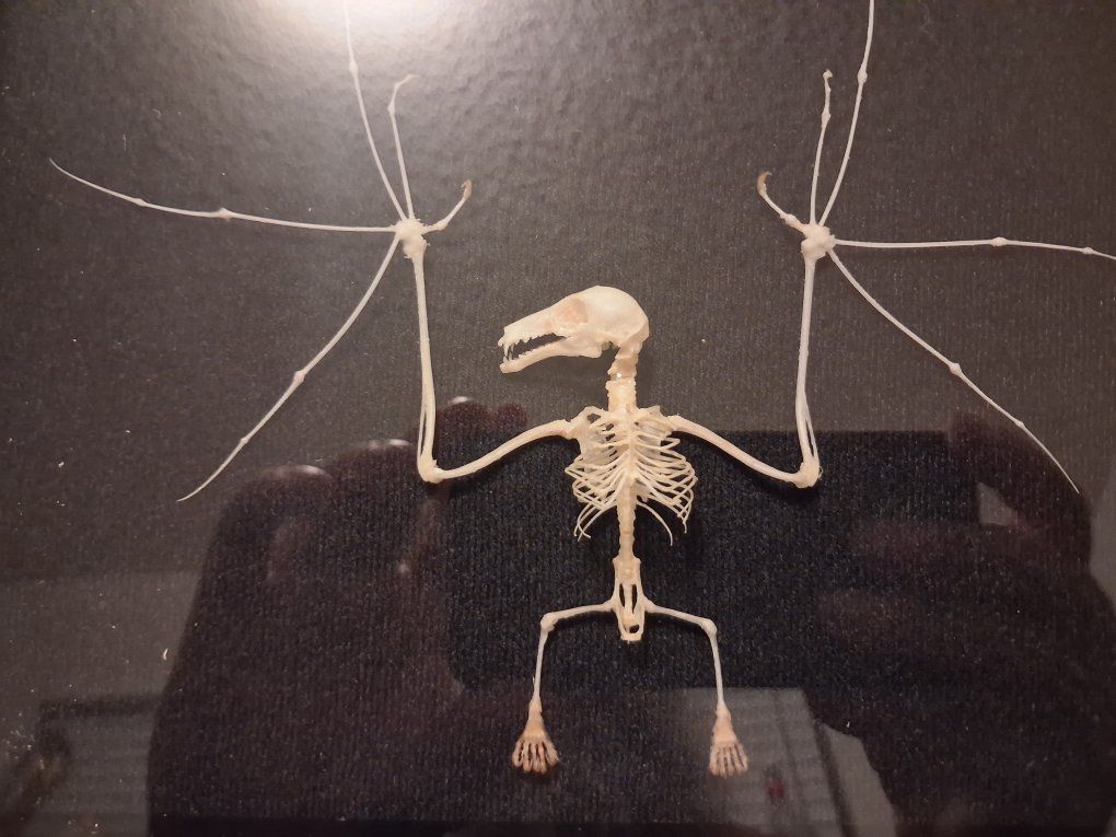 Main image 2