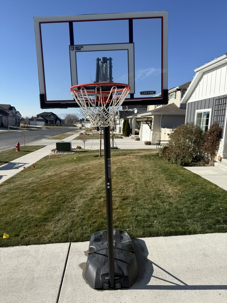 Lifetime Basketball Hoop