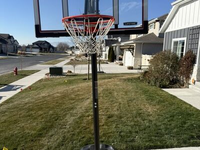 Lifetime Basketball Hoop