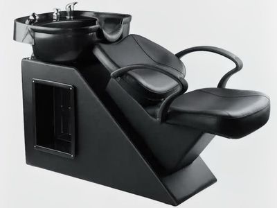 salon shampoo chair with sink