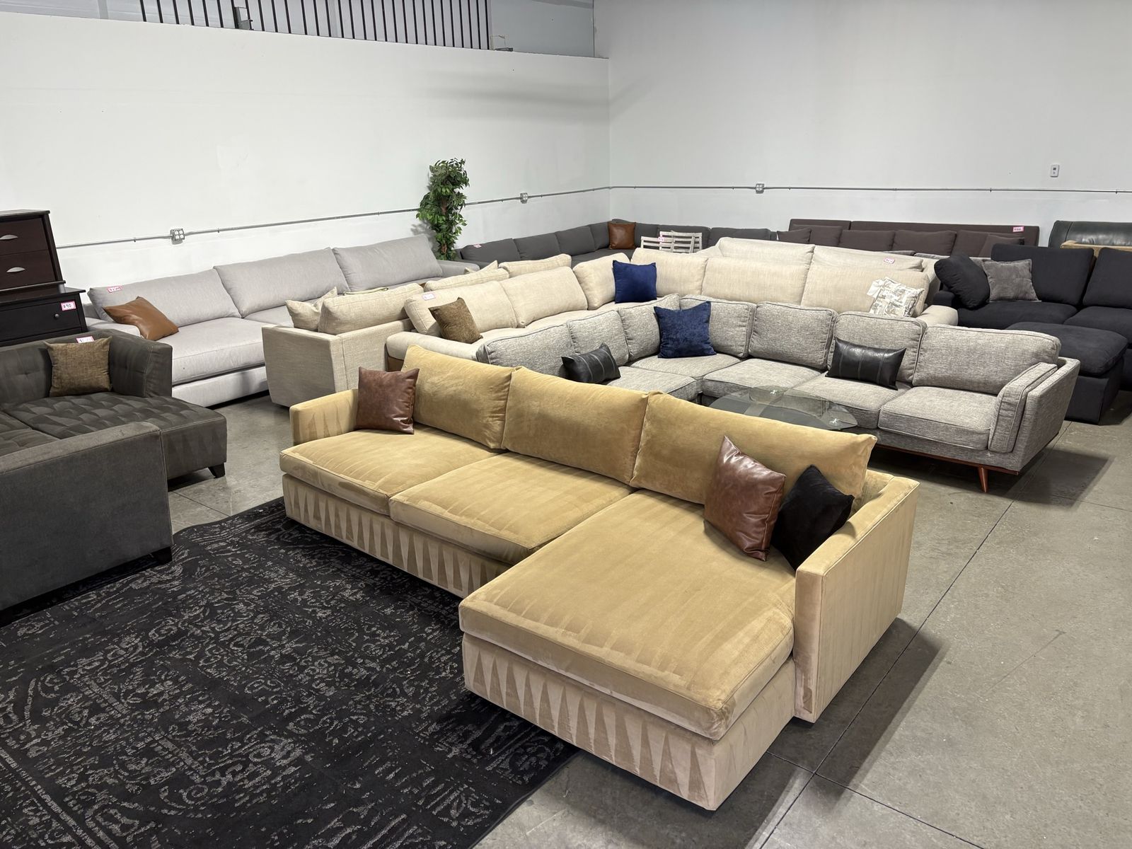 Sectionals & Couches (Delivery Available)