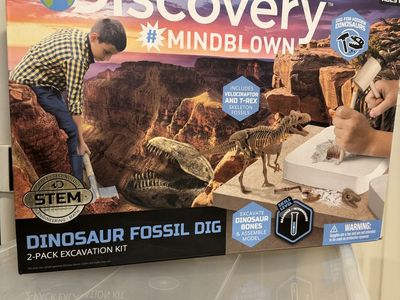 Brand New Kids Toy for Dinosaur Digging