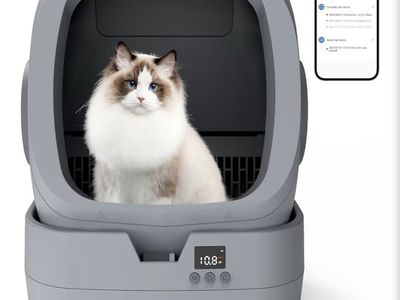 Smart Self-Cleaning Automatic Cat Litter Box with App Control and Weight Monitoring