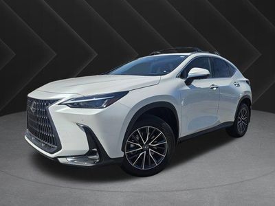 2025 Lexus NX 350h Premium