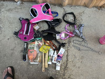 Assorted Dog & Cat Pet Supplies: Harnesses, Leashes, Training Collars, Grooming, & Treats