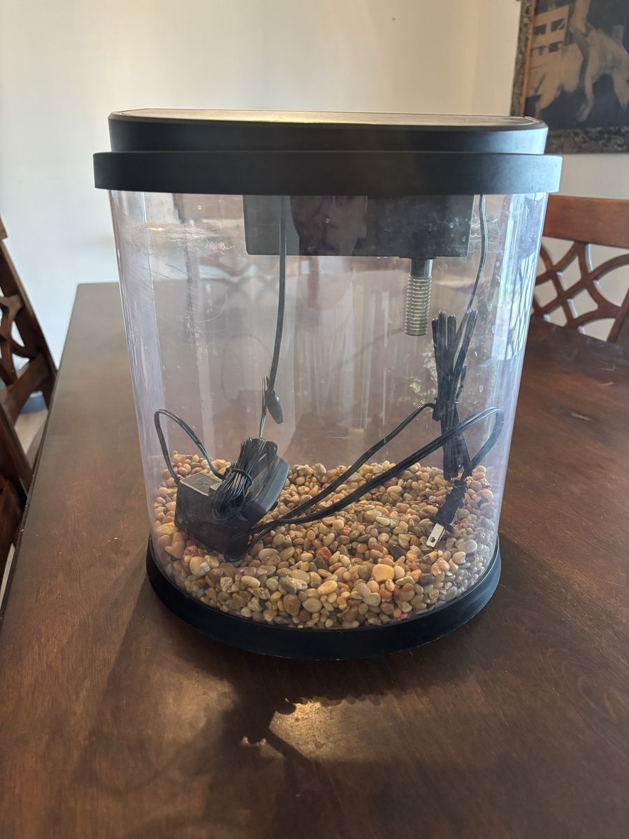 fish tank