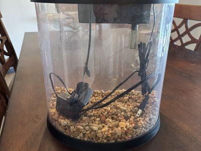 fish tank