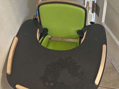 Special needs chair