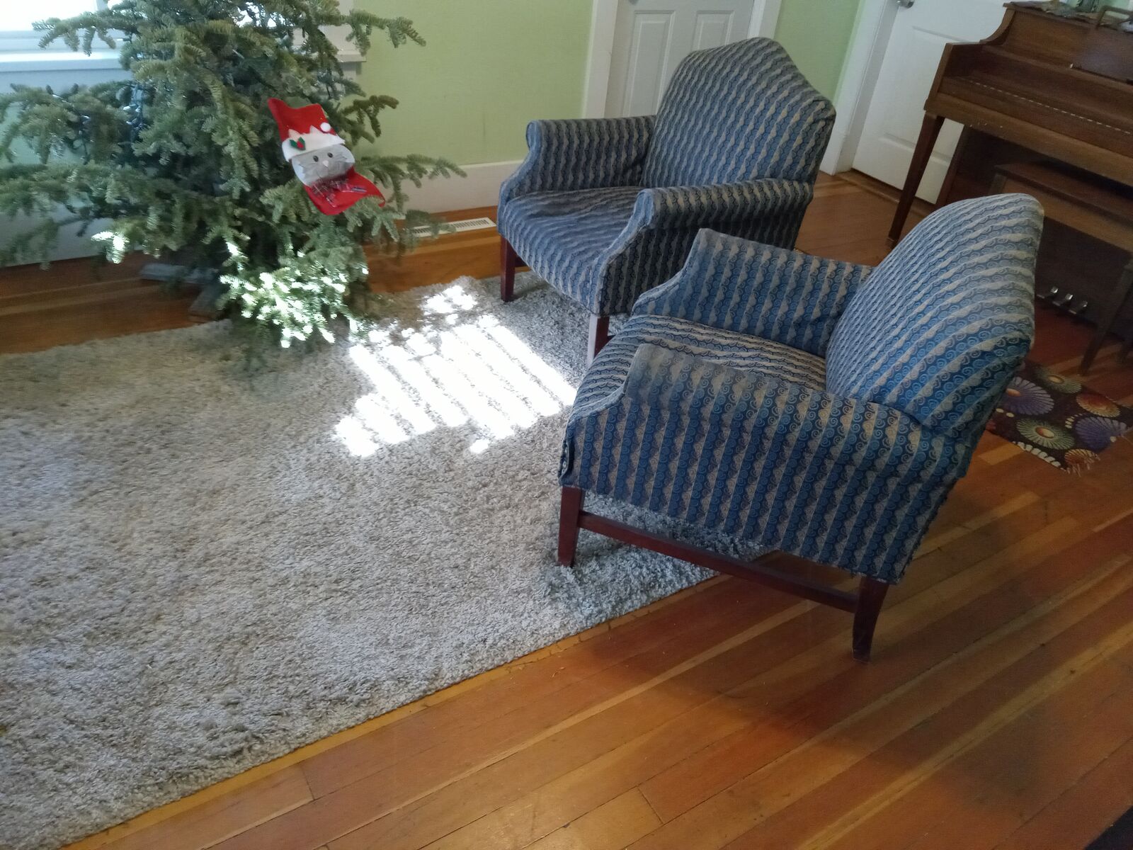 2 matching chairs & rug $25 each