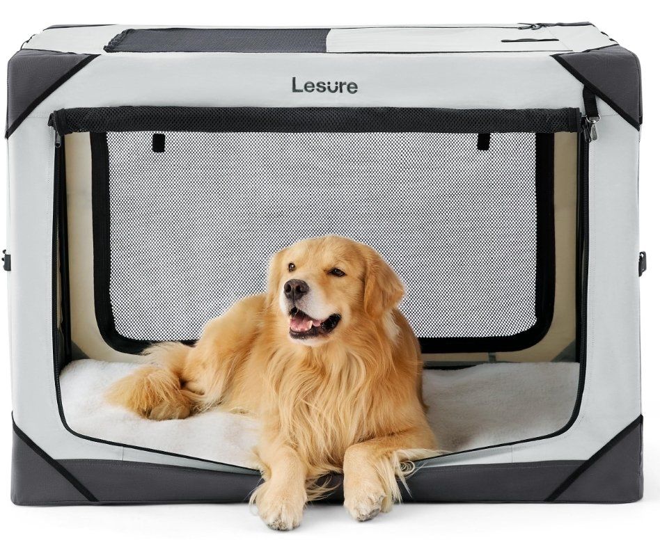 42" Collapsible Dog Crate - Portable, Light Gray