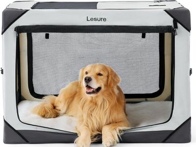 42" Collapsible Dog Crate - Portable, Light Gray