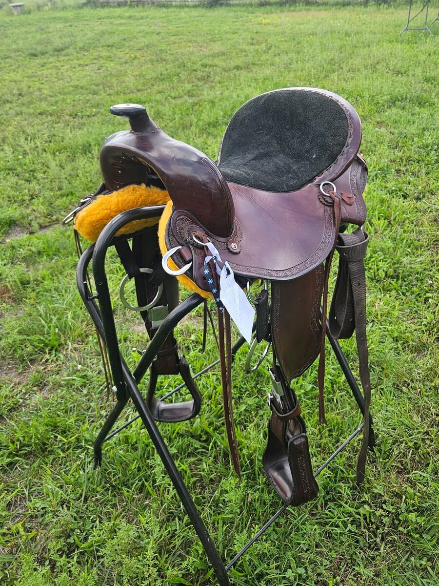 Allegany Mountain Trail Saddle