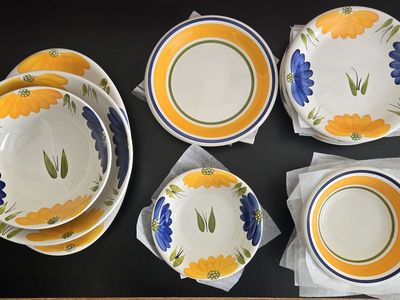 Huge Lot Maxam, Hand Painted in Italy Vintage, Collectible Floral & Striped "Italian Daisy" Dishes