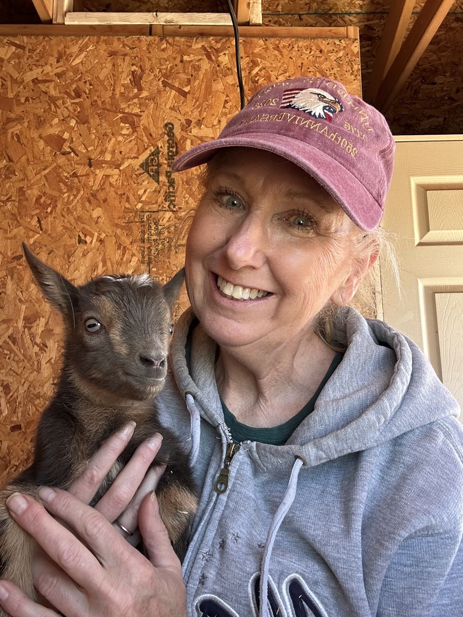 ADGA registrable Nigerian Dwarf Buck