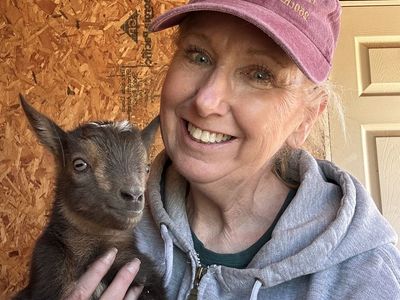 ADGA registrable Nigerian Dwarf Buck