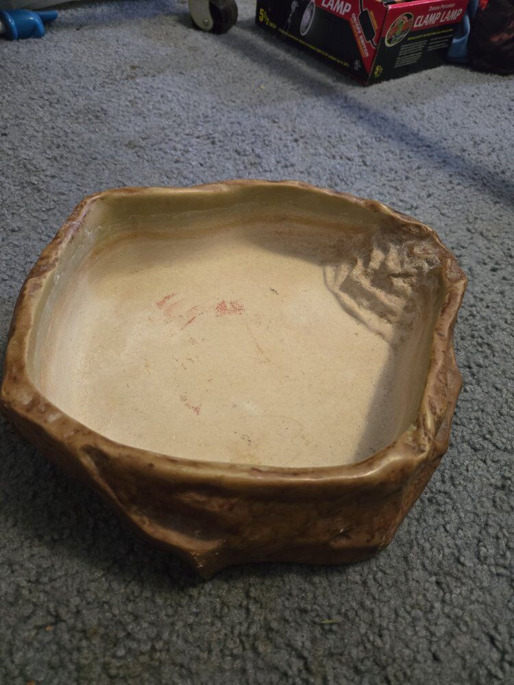 Exo Terra bowl