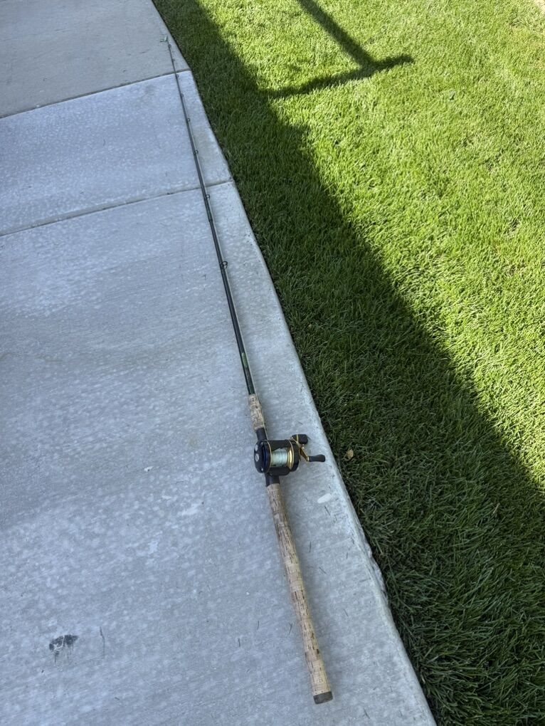 St. Croix Salmon/steelhead rod With Abu Garcia C4