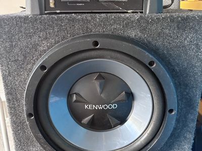 10 inch subwoofer and 350 w amp