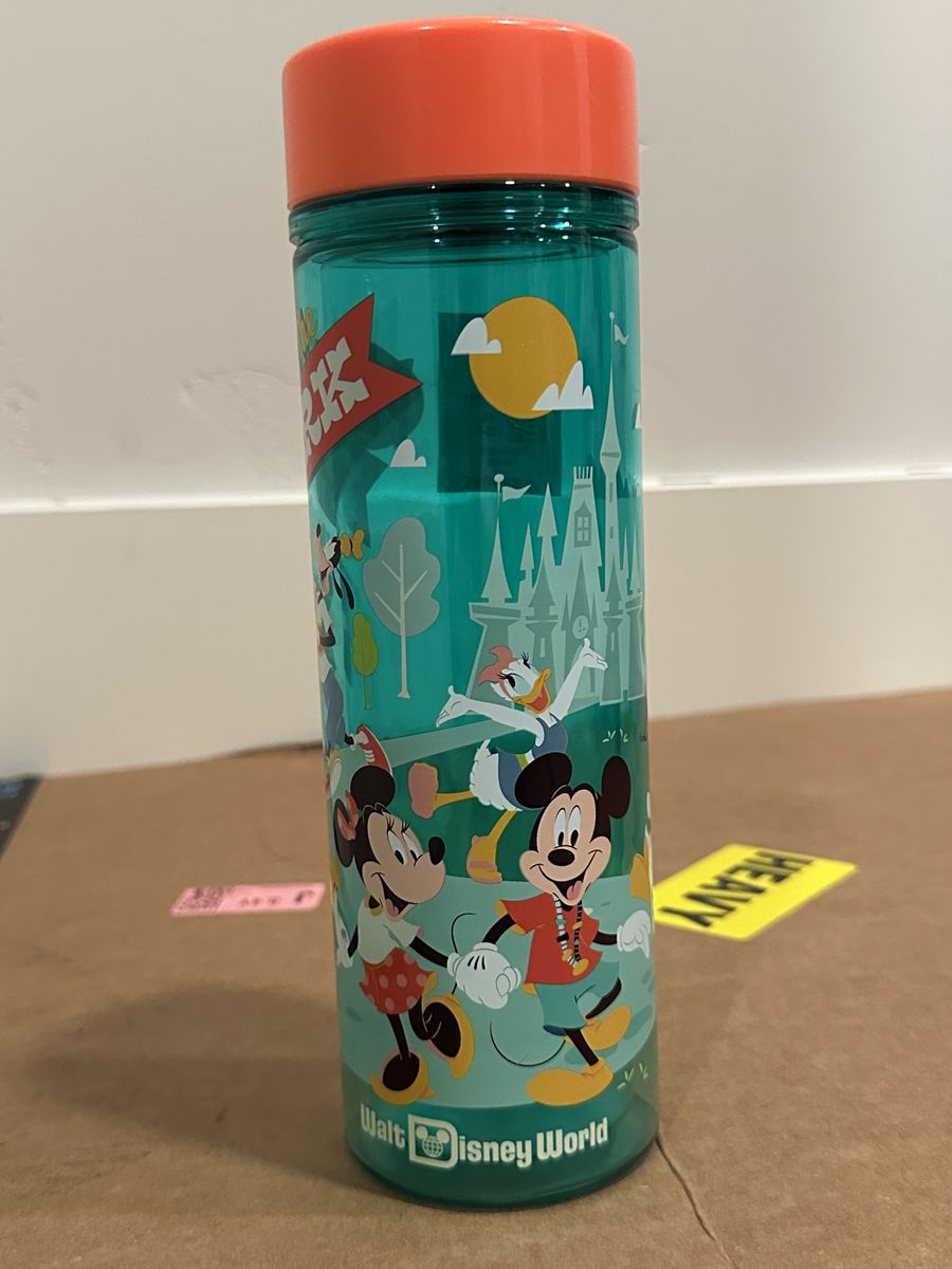 Disnsy Wolrd Play In The Park Water Bottle