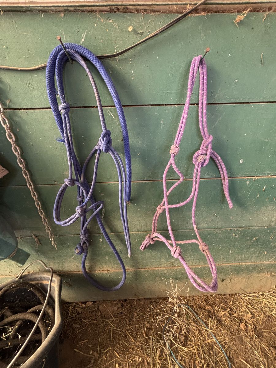 Horse Parelli Halters