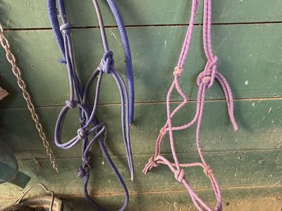 Horse Parelli Halters