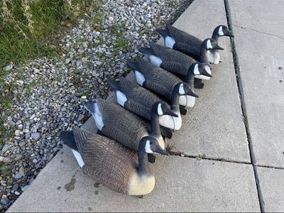 6 Old Flambeau Goose Floater Decoys