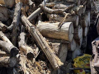 Free Fire Wood