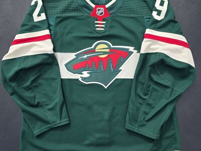 Minnesota Wild Marc-Andre Fleury #29 Jersey MiC