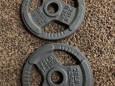weight plate set total 75 lbs