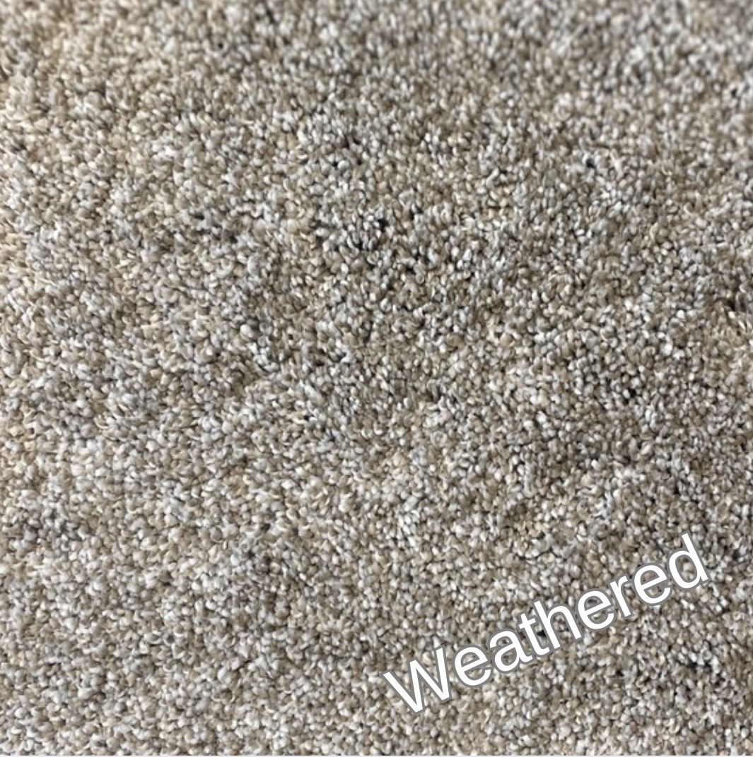 Soft SHAW Carpet- only $1.75/sq ft