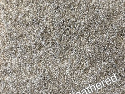 Soft SHAW Carpet- only $1.75/sq ft